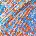 Orange-Blue Battal