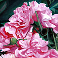 Peony Bouquet