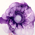 Purple Passion Flower