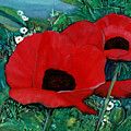 Red Poppy Duo